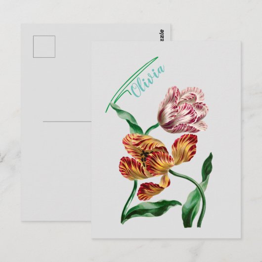 Botanische illustratie  Tulp Briefkaart (Voorkant / Achterkant)