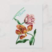 Botanische illustratie  Tulp Briefkaart (Voorkant)