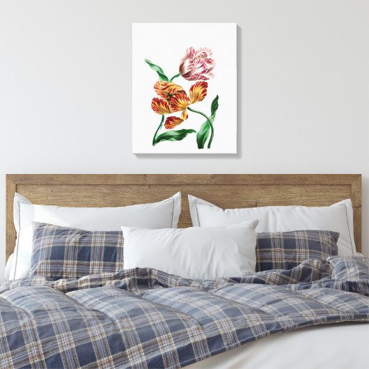 Botanische illustratie  Tulp Canvas Afdruk (Insitu (Slaapkamer))
