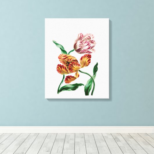 Botanische illustratie  Tulp Canvas Afdruk (Insitu (Houten vloer))