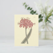 Botanische illustratie van Amaryllis met glaucous  Briefkaart (Staand voorkant)