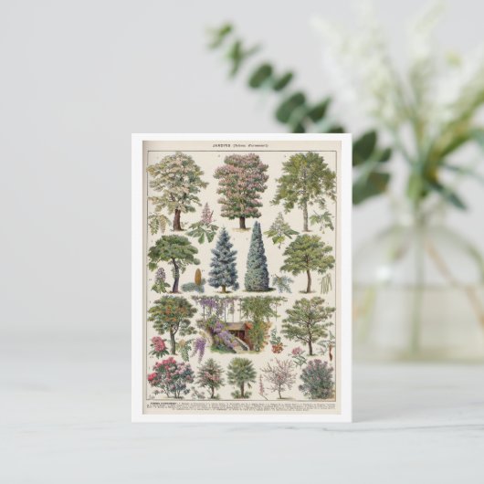 botanische illustratie van bomen briefkaart (Staand voorkant)