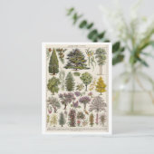  botanische illustratie van bomen briefkaart (Staand voorkant)