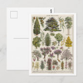  botanische illustratie van bomen briefkaart (Voorkant / Achterkant)