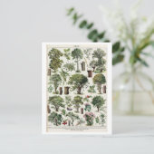 botanische illustratie van bomen briefkaart (Staand voorkant)
