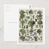 botanische illustratie van bomen briefkaart (Voorkant / Achterkant)