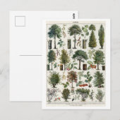  botanische illustratie van bomen briefkaart (Voorkant / Achterkant)