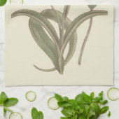 Botanische illustratie van Cape Tulip Theedoek (Gevouwen)