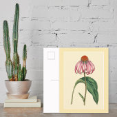 Botanische illustratie van conefloer briefkaart