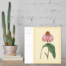 Botanische illustratie van conefloer briefkaart
