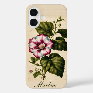 Botanische Illustratie van Dagbloem iPhone 16 Hoesje