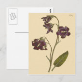 Botanische illustratie van de bladbloem briefkaart (Voorkant / Achterkant)