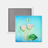 Botanische illustratie van de Egyptische Lotus  Magneet (Voorkant / Achterkant)