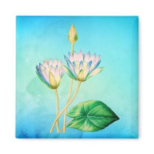 Botanische illustratie van de Egyptische Lotus 