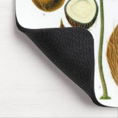 Botanische illustratie van de kokosnootboom muismat (Hoek)