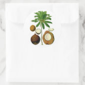 Botanische illustratie van de kokosnootboom ronde sticker (Tas)