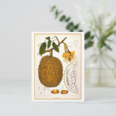  botanische illustratie van Durian Briefkaart (Staand voorkant)