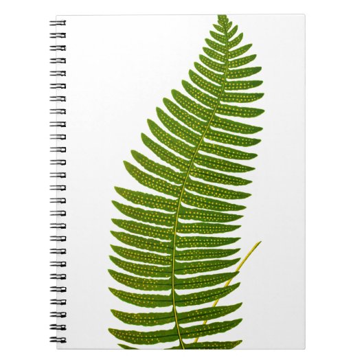 Botanische illustratie van groene en gele Fern Lea Notitieboek (Voorkant)