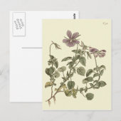 Botanische illustratie van het paard briefkaart (Voorkant / Achterkant)