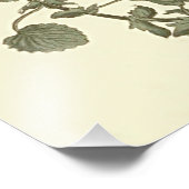 Botanische illustratie van het paard foto afdruk (Hoek)