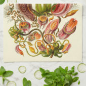 Botanische illustratie van het Plant Haeckel Pitch Theedoek (Gevouwen)