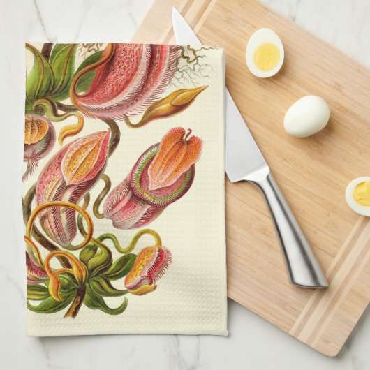 Botanische illustratie van het Plant Haeckel Pitch Theedoek (Quarter Fold)