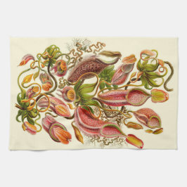 Botanische illustratie van het Plant Haeckel Pitch Theedoek