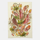 Botanische illustratie van het Plant Haeckel Pitch Theedoek (Verticaal)