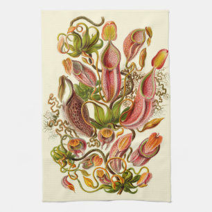 Botanische illustratie van het Plant Haeckel Pitch Theedoek