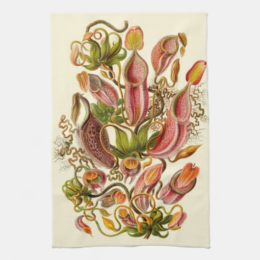Botanische illustratie van het Plant Haeckel Pitch Theedoek (Verticaal)