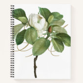  botanische illustratie van Magnolia Notitieboek (Voorkant)