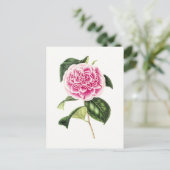 Botanische Illustratie van Roze Camellia Briefkaart (Staand voorkant)