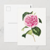 Botanische Illustratie van Roze Camellia Briefkaart (Voorkant / Achterkant)