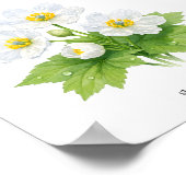 Botanische illustratie van Skeleton Flower - Kunst Poster (Hoek)