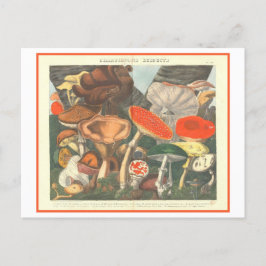 botanische illustratie "verdachte paddenstoelen" briefkaart