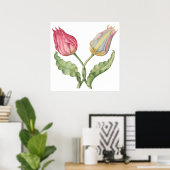botanische illustratiebloem Tulip Poster (Thuiskantoor)