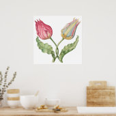 botanische illustratiebloem Tulip Poster (Keuken)