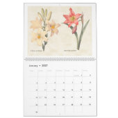  botanische illustraties 2026 kalender (Jan 2027)