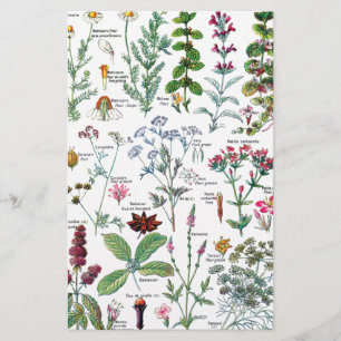 Botanische illustraties briefpapier
