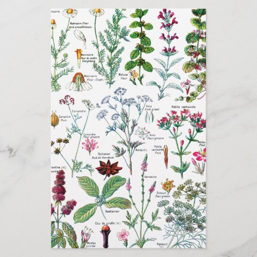 Botanische illustraties briefpapier (Voorkant)