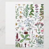 Botanische illustraties briefpapier (Voorkant / Achterkant)