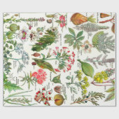 Botanische illustraties cadeaupapier (Vlak)