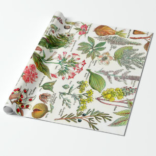 Botanische illustraties cadeaupapier