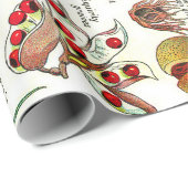 Botanische illustraties cadeaupapier (Rol Hoek)