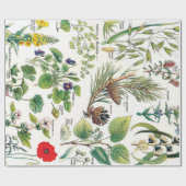 Botanische illustraties cadeaupapier (Vlak)
