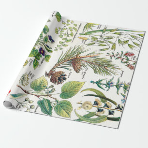 Botanische illustraties cadeaupapier
