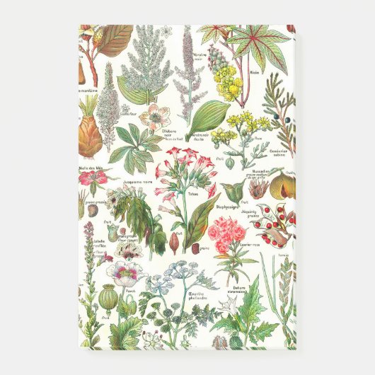 Botanische illustraties — Grote Planten gevaarlijk Post-it® Notes (Voorkant)