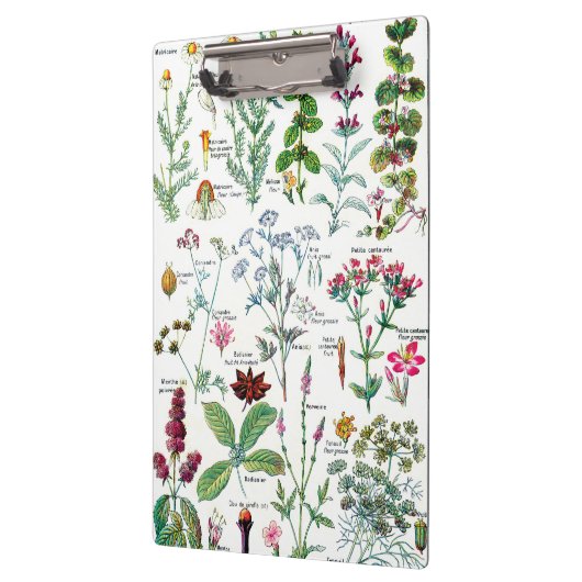 Botanische illustraties - Grote Planten Klembord (Links)