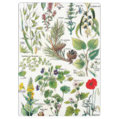 Botanische illustraties - Grote Planten Klembord (Achterkant)