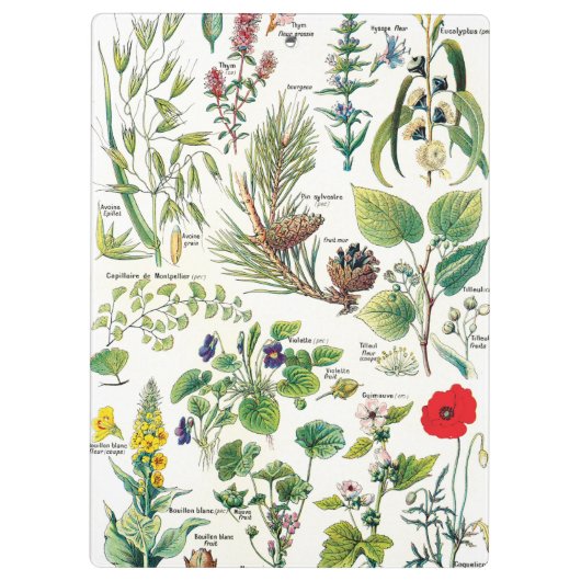 Botanische illustraties - Grote Planten Klembord (Achterkant)